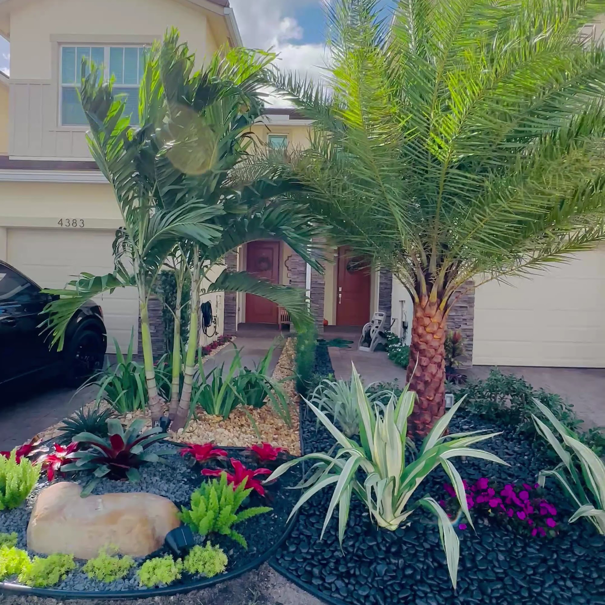 Finished tropical front-yard planting